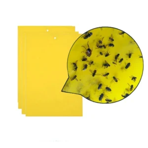 Strong Flies Traps Bugs Sticky Board Catching Aphid Insects Pest Killer (5 Pc Set)