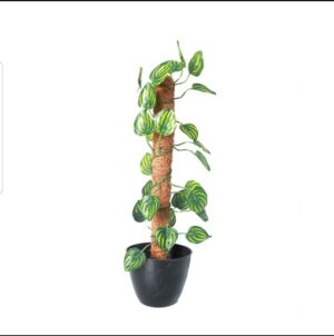 Green Artificial Money Plant leave with Coconut stick | Decorative Plant