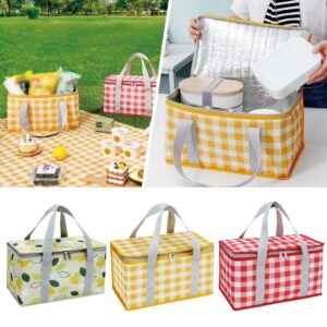 Picnic Bag Lunch Bag Outdoor Thickened Aluminum Film Box Portable Picnic Bag  (Random color)