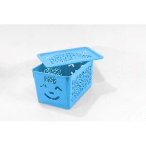 1 Piece  Berry Smiley Organizer Box Small - blue