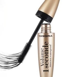 Yanqina Volume 1 Seconde Waterproof Mascara