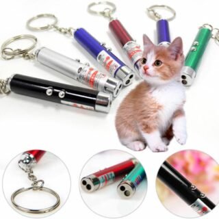 Pack of 10 Laser LED Light with Key Chain | Mulituse Laser Pointer random color