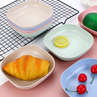 Plate set pack of 10 | Plastic Spit Bone Dish Plates Plates Set With Holder (Random Colours)